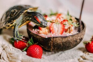 Can Red-eared Slider Turtles Eat Strawberries? 4