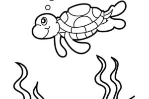 Top 10 Free Printable Cute Sea Turtle Coloring Pages Online 5