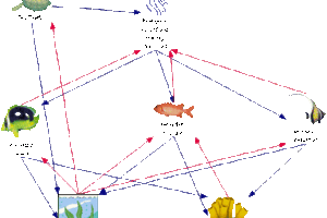 Are Loggerhead Sea Turtles Primary Consumers 6