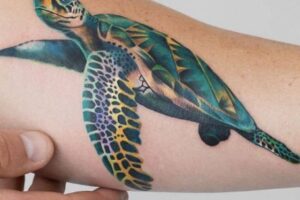 150+ Cute Sea Turtle Tattoos Designs With Meanings 6