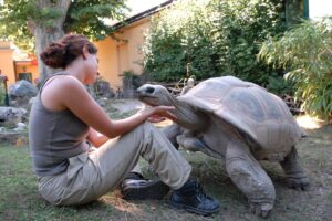 Turtle Power: Study Finds Giant Tortoises Have Strong Memories 4