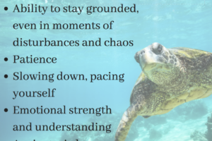 Turtle Symbolism, Dreams, Meaning, And Messages 1