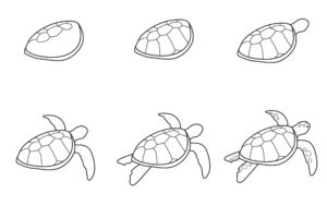 How To Draw A Turtle - Step By Step Drawing Tutorial 6