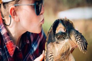 Is It OK To Kiss A Turtle? 1