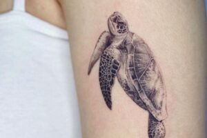 Beautiful Turtle Tattoos You'll Fall In Love 10