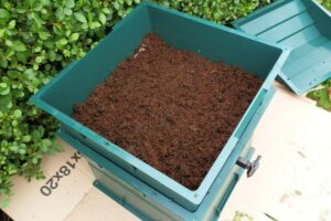 How To Set Up A Verimculture Bin For Tortoise 5