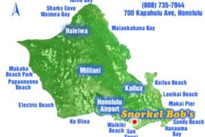 Best Places To Snorkel On The North Shore 10