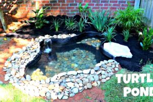 How To Make A Turtle Pond In Your Backyard 2