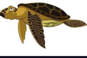 Sea Turtle Stock Vectors, Clipart And Illustrations 4