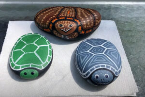 How To Paint A Turtle On A Rock 6