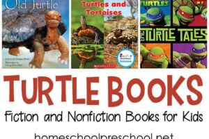 Top 10 Favorite Collection Of Turtle Books For Kids 9