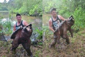 Giant Alligator Snapping Turtle 5