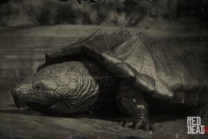 Alligator Snapping Turtle Rdr2 3