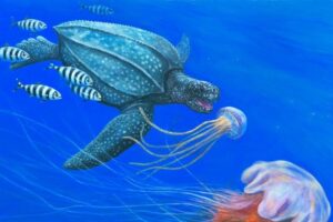 Diet Of Leatherback Sea Turtle 3